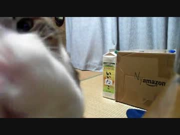 うりうりもぐもぐ