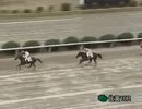 2012年12月15日佐賀競馬10R 佐賀競馬ＩPAT発売師走特別(B2-1組) ロマンチック
