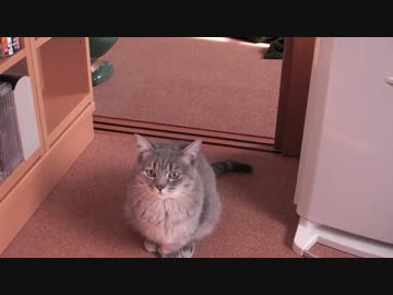 ぶんぶんぶんぶんぶんぶんぶんぶん