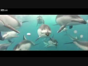 凄い動画を繋ぎ合わせた動画