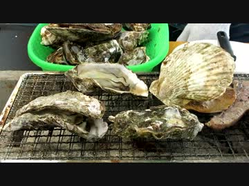 【牡蠣】となりのVFR乗りはよく牡蠣食うVFR乗りだ