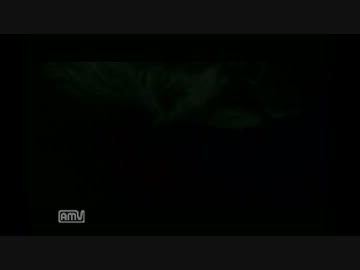 ｰﾗﾎ･ﾄｯﾋﾞﾗ3/10
