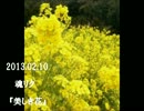 2013.02.10 魂リク『美しき花』福山雅治に.wmv