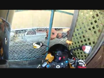 バッテリーの逝く瞬間