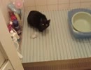 お風呂の宵風さん