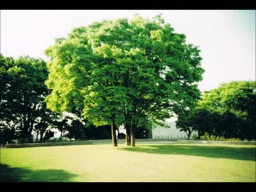 アヴェ・マリア (Schubert cover)