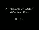 「IN THE NAME OF LOVE」歌ってみた