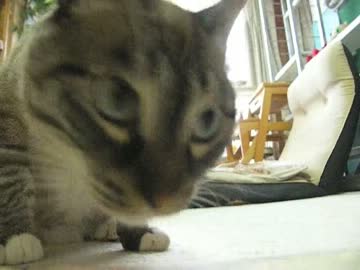 ジャンくん真昼の一人遊び　ドアップで大サービス