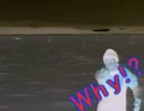 ShijShij