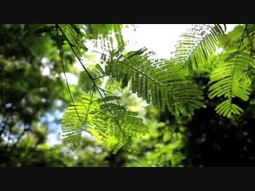 なにもない…だがそれがいいラオスの旅