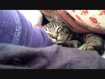 ぐりちぇる動画＊7＊寝てると思ってたのに・・(グリコのみ)