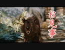 【実況】 加速するスカイリムの旅　page45