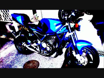 Goose350に乗ろう　Part1.納車と洗車