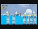 赤と緑と時々おかん!?/女2人でNewスーパーマリオブラザーズWii【実況10】