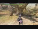 MONSTER HUNTER 3G HDVer. Part9