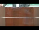 2/10 愛国者による訪朝記 北朝鮮は今どうなっているのか ＠ 大阪 ④