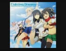 【閃乱カグラ】『闇夜は乙女を花にする』の2番だけ