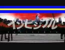 カイト兄と主がカラオケでインビジブルを歌ってみたらこんな感じ