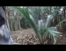 南国サバゲー（後半戦）
