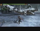 至って普通にMH3GHD Part22 「氷の楔」