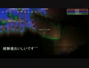 【字幕実況】TerrariaにModを大量に入れてプレイしてみた　その2