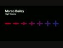 Marco Bailey - The Black Crow (Original Mix)