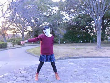【ぬこ缶】夏恋花火 踊ってみた【冬だけど】