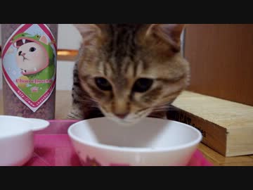 バレンタインとは関係ないガツ飯