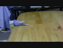 元気なセキセイインコのピーちゃん