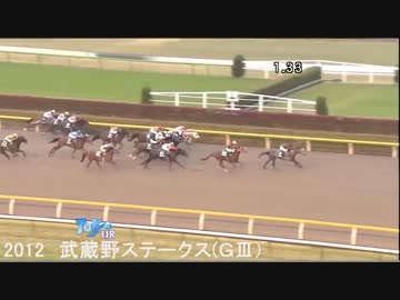 【競馬】第30回フェブラリーステークス　出走馬