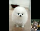 おやすみなさい＼(^o^)／gdgdな雑談