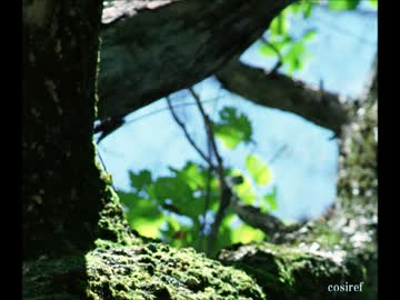 matataku 【オリジナル曲】