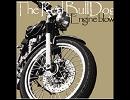 チェルシー / The Red BullDog