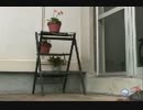 隕石おじさん