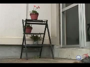 隕石おじさん