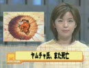 友人がウルフハリケーン(ヤムチャキャラソン)を足元おろそかに絶叫した