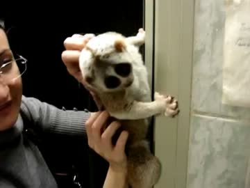 完全敗北した淫夢君UC