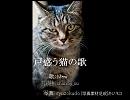 戸惑う猫の歌