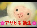 【包囲網編】中国の圧力で削除されます【流行語大賞・アサヒる】