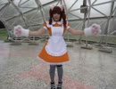 【美姬】Shiny Smile やよい 踊ってみた
