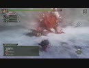MONSTER HUNTER 3G HDVer. Part11