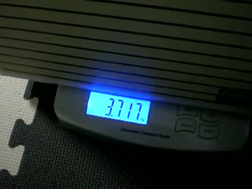 拾いねこ＠生後225/192日目　アコつきの体重測定