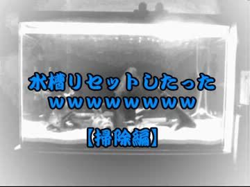 水槽リセットしたったｗｗｗｗｗｗｗｗその1【掃除編】