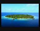 cantaloop island