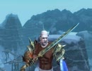 【C9】族長救出クエ　ウォーリアでブタゴリラを懲らしめる！