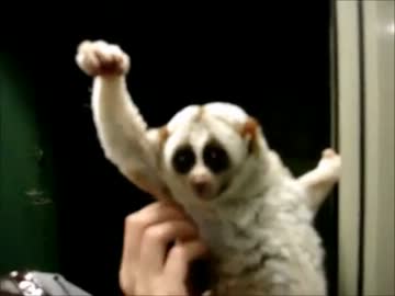 人気の 淫夢くん 動画 1 061本 14 ニコニコ動画