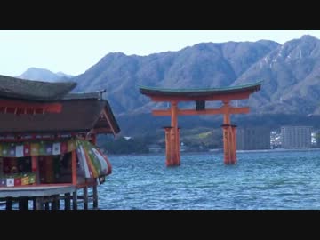 【巳年なので】岩国の白蛇様に会いに行こう【空に舞う白い粉】