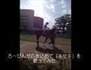 心をこめて『キセキ』を歌ってみた【ろーぴん】