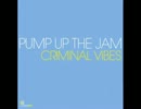 Criminal Vibes - Pump Up The Jam (Club Mix)