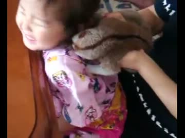 ロリレイプ！犯罪者と化した淫夢くん